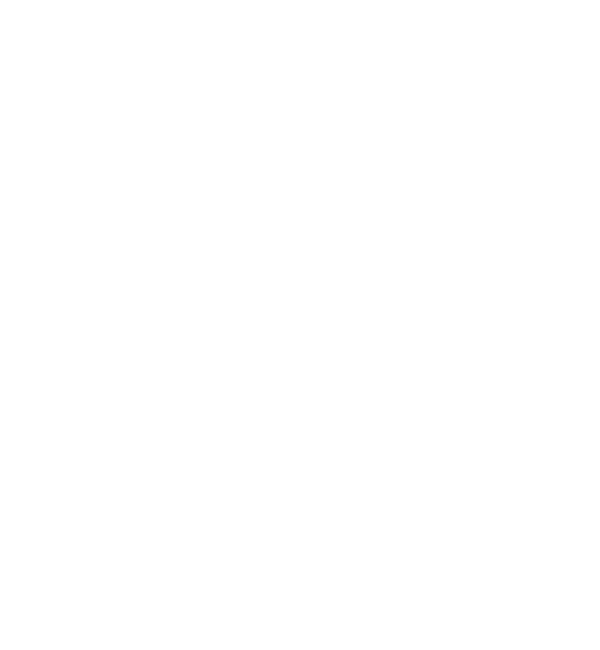 Projet précédent